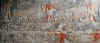 Mastaba de Mereruka - L'�levage des boeufs.jpg (84833 octets)
